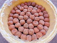 �썂�~�����i9��27���j